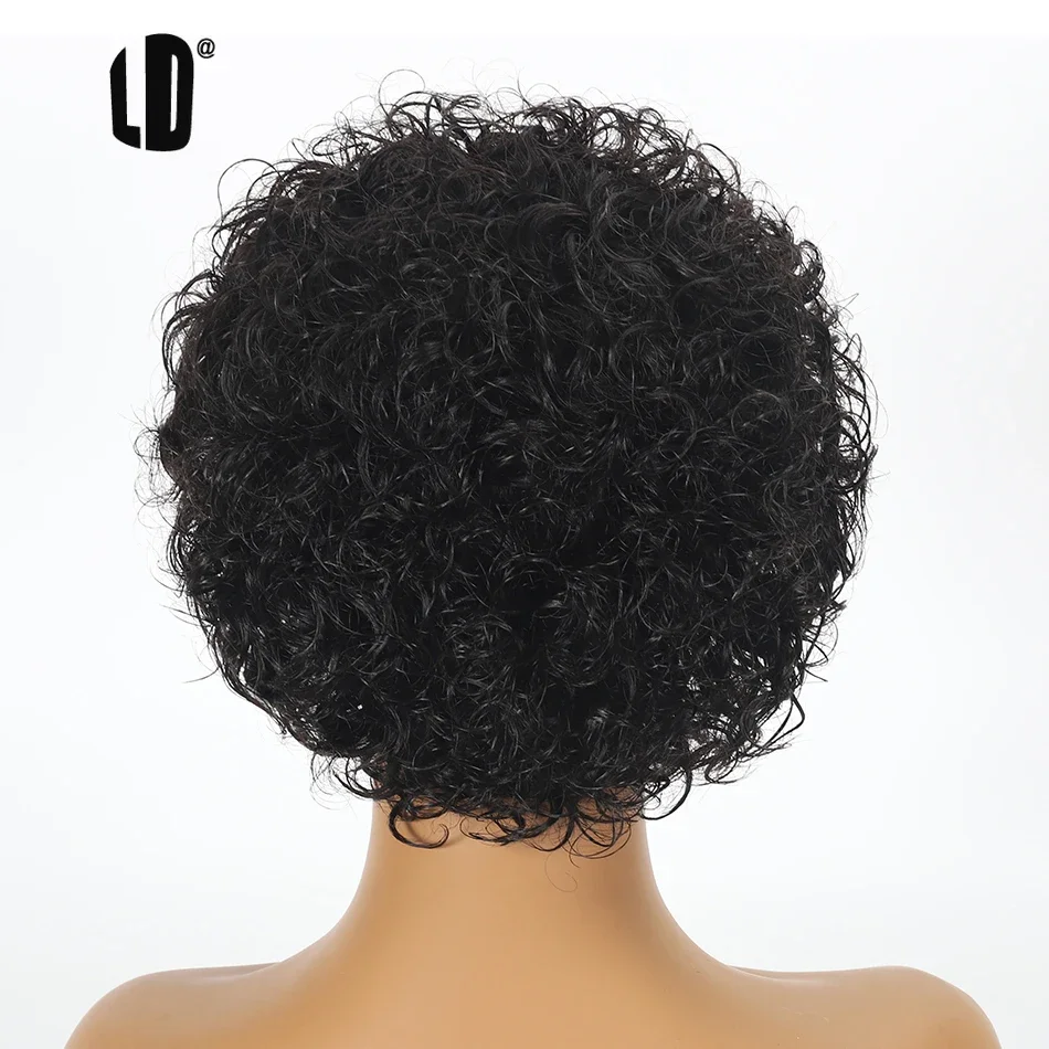 Pixie Cut Wig 99J Color Lace W - Short Pixie Cut Wig Human Hair Cheap ulasan dan harga