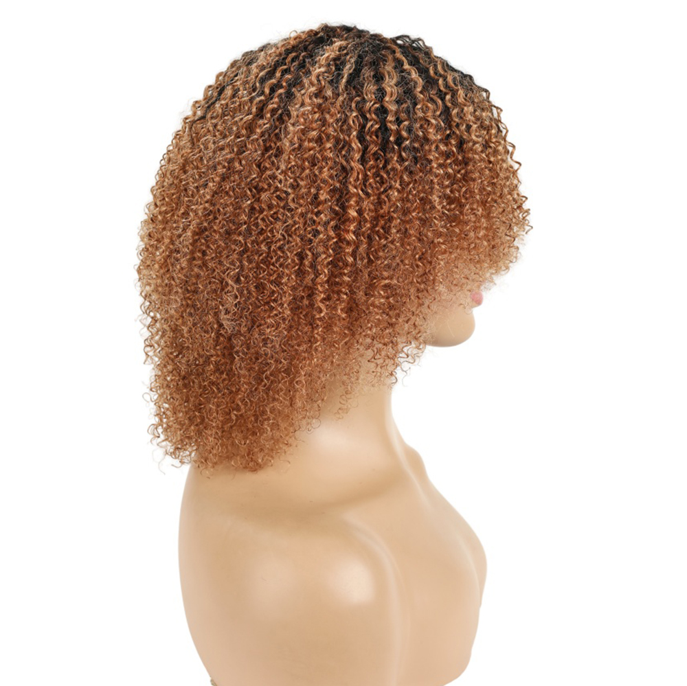 Peruvian Hair Afro Kinky Curly - Short Pixie Cut Wig Human Hair Cheap ulasan dan harga